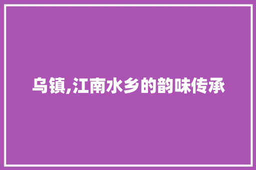 乌镇,江南水乡的韵味传承