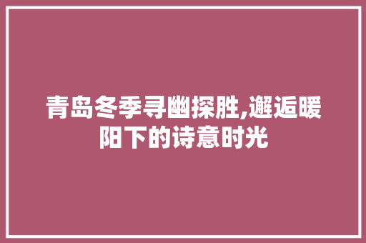 青岛冬季寻幽探胜,邂逅暖阳下的诗意时光  第1张