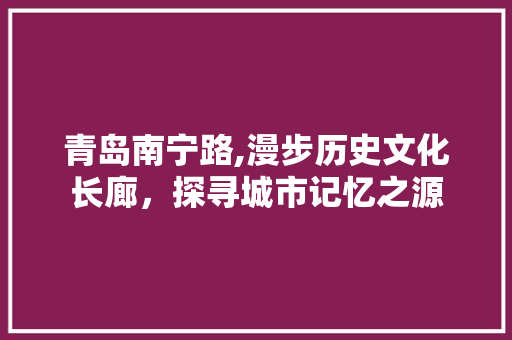 青岛南宁路,漫步历史文化长廊，探寻城市记忆之源