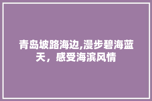 青岛坡路海边,漫步碧海蓝天，感受海滨风情  第1张