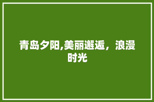 青岛夕阳,美丽邂逅，浪漫时光