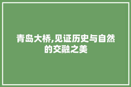 青岛大桥,见证历史与自然的交融之美