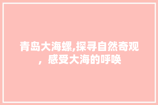 青岛大海螺,探寻自然奇观，感受大海的呼唤