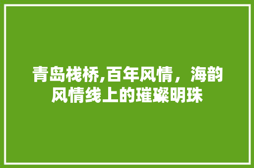 青岛栈桥,百年风情，海韵风情线上的璀璨明珠