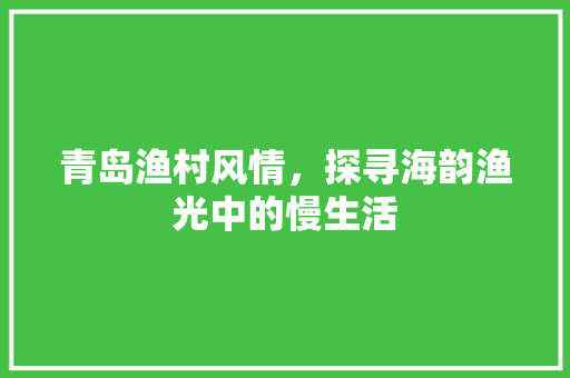 青岛渔村风情，探寻海韵渔光中的慢生活