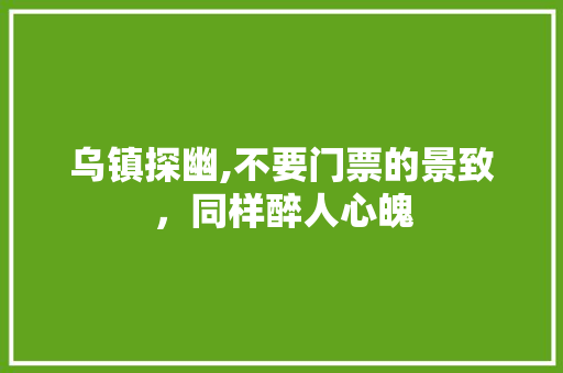 乌镇探幽,不要门票的景致，同样醉人心魄