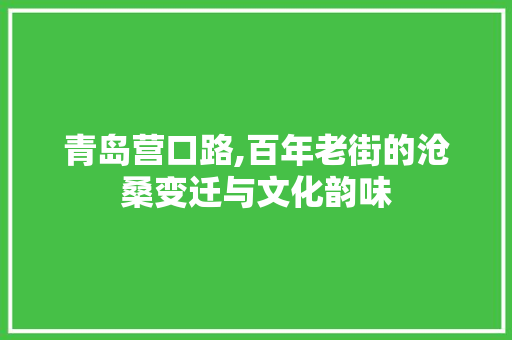 青岛营口路,百年老街的沧桑变迁与文化韵味  第1张