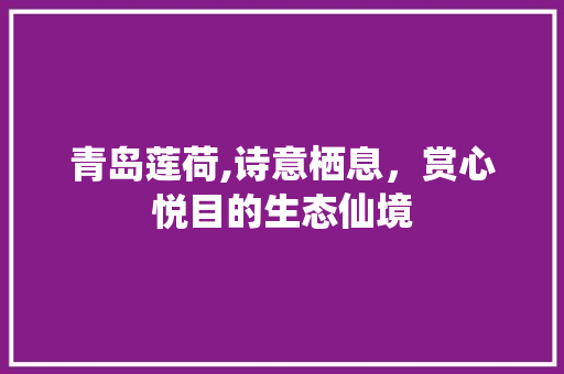 青岛莲荷,诗意栖息，赏心悦目的生态仙境