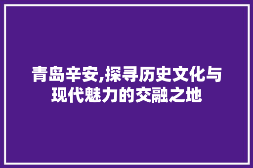 青岛辛安,探寻历史文化与现代魅力的交融之地