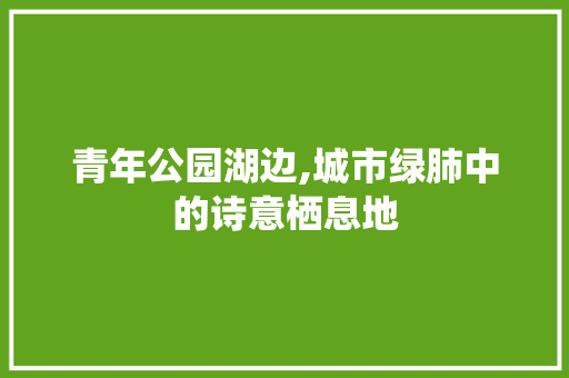 青年公园湖边,城市绿肺中的诗意栖息地