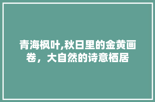 青海枫叶,秋日里的金黄画卷，大自然的诗意栖居