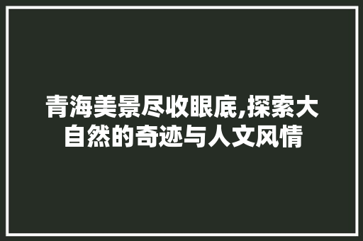 青海美景尽收眼底,探索大自然的奇迹与人文风情