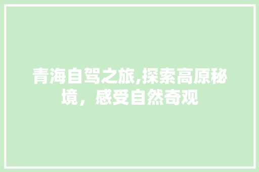 青海自驾之旅,探索高原秘境，感受自然奇观