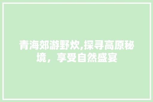 青海郊游野炊,探寻高原秘境，享受自然盛宴