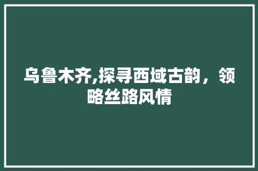 乌鲁木齐,探寻西域古韵，领略丝路风情  第1张