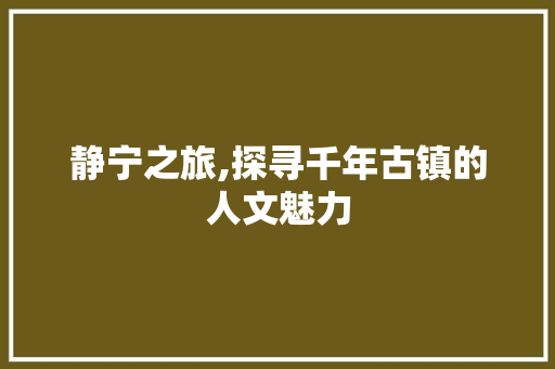 静宁之旅,探寻千年古镇的人文魅力