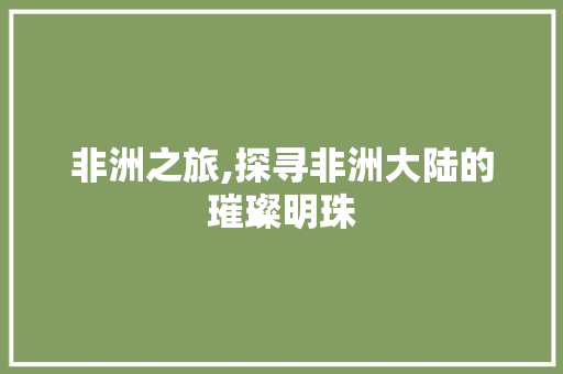 非洲之旅,探寻非洲大陆的璀璨明珠