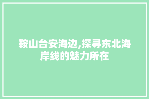 鞍山台安海边,探寻东北海岸线的魅力所在