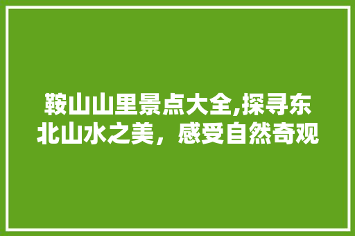 鞍山山里景点大全,探寻东北山水之美，感受自然奇观与人文魅力