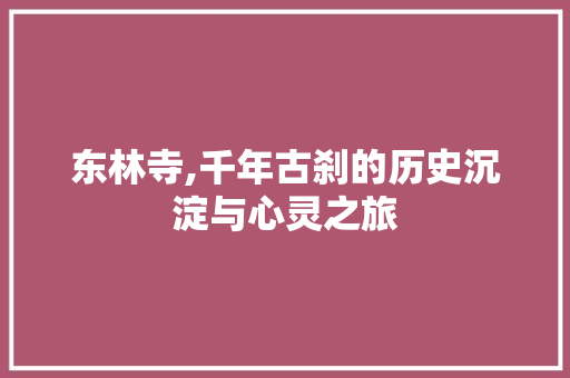 东林寺,千年古刹的历史沉淀与心灵之旅