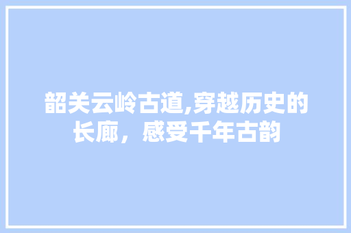 韶关云岭古道,穿越历史的长廊，感受千年古韵