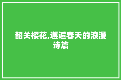 韶关樱花,邂逅春天的浪漫诗篇