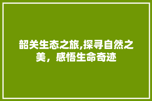 韶关生态之旅,探寻自然之美，感悟生命奇迹