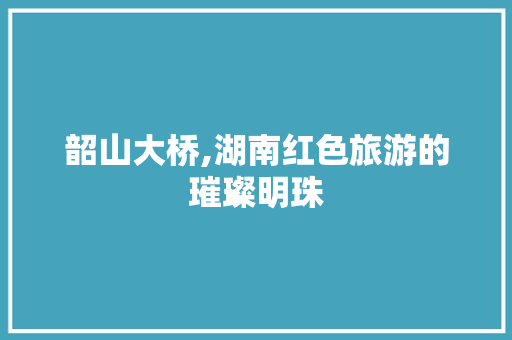 韶山大桥,湖南红色旅游的璀璨明珠