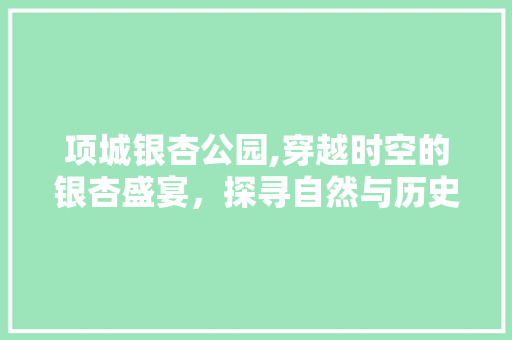 项城银杏公园,穿越时空的银杏盛宴，探寻自然与历史的交融之美