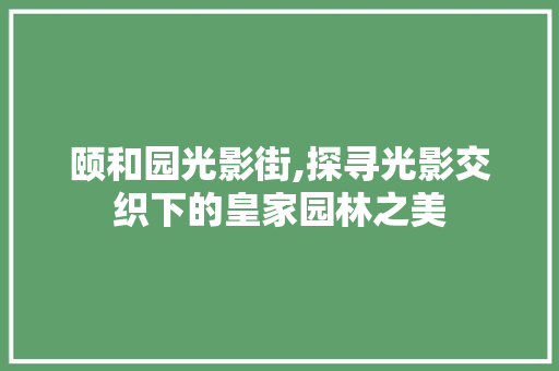 颐和园光影街,探寻光影交织下的皇家园林之美