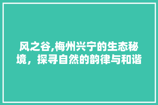 风之谷,梅州兴宁的生态秘境，探寻自然的韵律与和谐