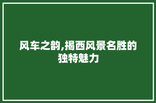 风车之韵,揭西风景名胜的独特魅力