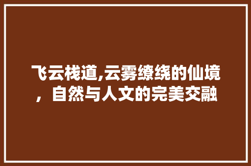 飞云栈道,云雾缭绕的仙境，自然与人文的完美交融