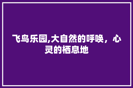 飞鸟乐园,大自然的呼唤，心灵的栖息地