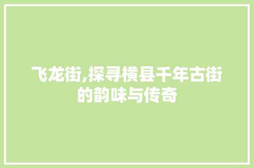 飞龙街,探寻横县千年古街的韵味与传奇