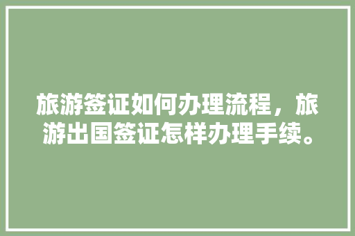 旅游签证如何办理流程，旅游出国签证怎样办理手续。