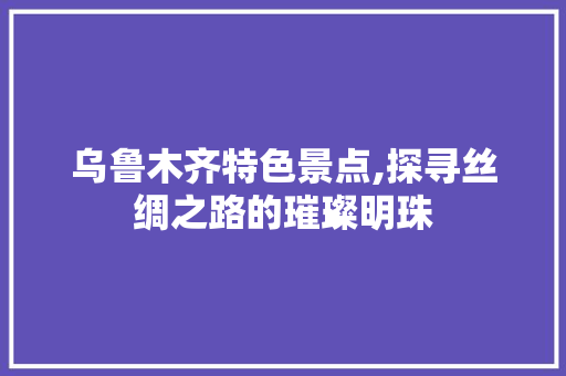 乌鲁木齐特色景点,探寻丝绸之路的璀璨明珠