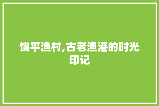 饶平渔村,古老渔港的时光印记