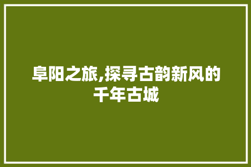 阜阳之旅,探寻古韵新风的千年古城