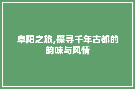 阜阳之旅,探寻千年古都的韵味与风情