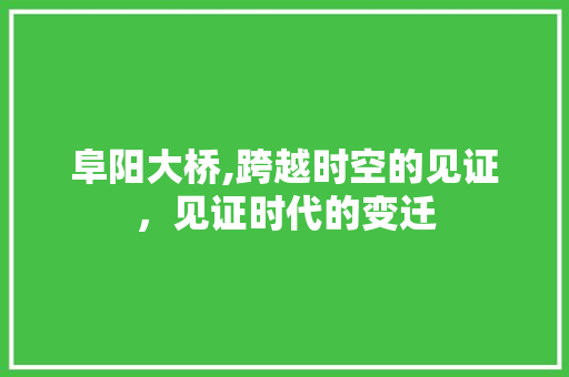 阜阳大桥,跨越时空的见证，见证时代的变迁