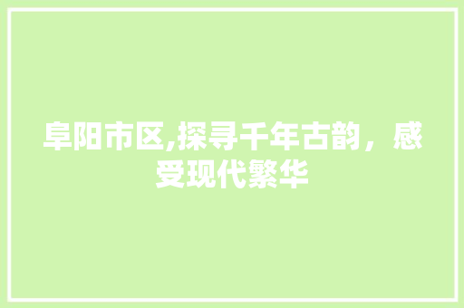 阜阳市区,探寻千年古韵，感受现代繁华