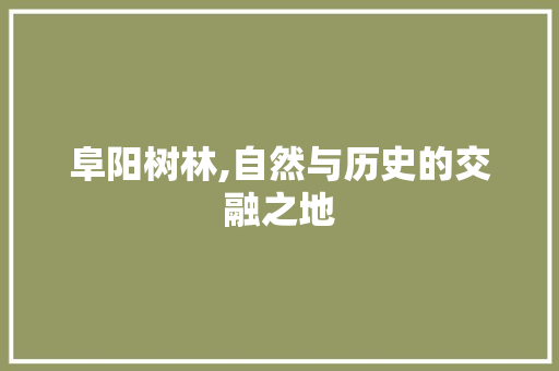 阜阳树林,自然与历史的交融之地