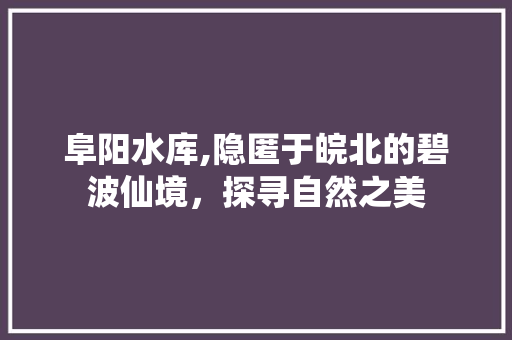 阜阳水库,隐匿于皖北的碧波仙境，探寻自然之美