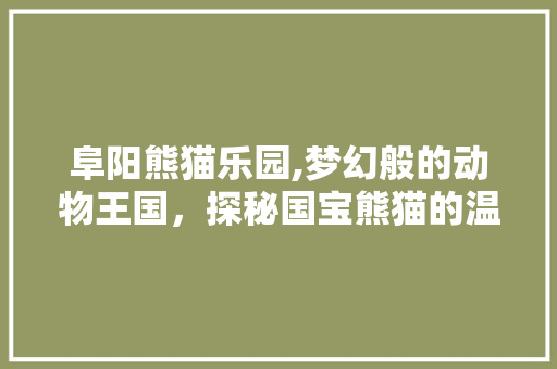 阜阳熊猫乐园,梦幻般的动物王国，探秘国宝熊猫的温馨家园