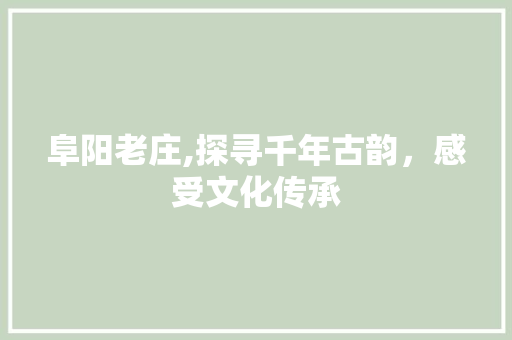 阜阳老庄,探寻千年古韵，感受文化传承