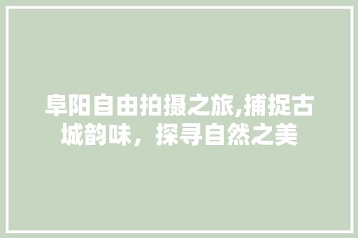 阜阳自由拍摄之旅,捕捉古城韵味，探寻自然之美