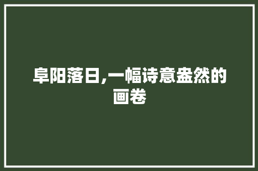 阜阳落日,一幅诗意盎然的画卷