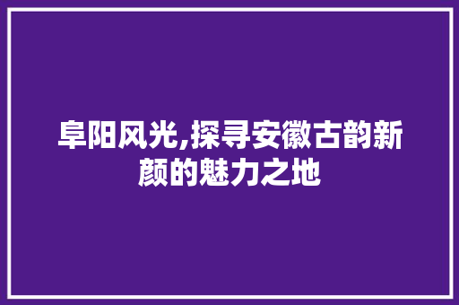 阜阳风光,探寻安徽古韵新颜的魅力之地