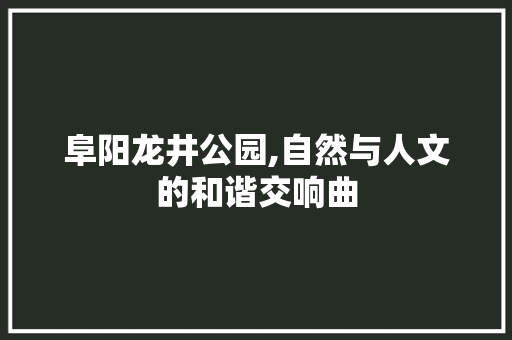 阜阳龙井公园,自然与人文的和谐交响曲